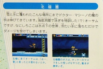 北極圏はおー、寒